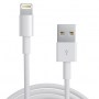 Apple Lightning to USB Cable 1